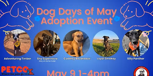 Dog Days of May Adoption Event
