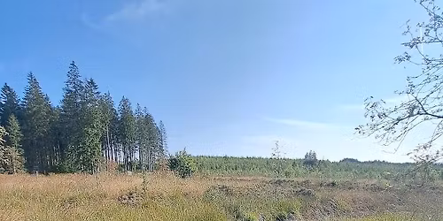 53e marche des Hautes Fagnes\/ 53. Wanderung des Hohen Venns\/ 53e wandeltocht van de Hoge Venen