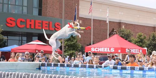 DockDogs\u00ae at the Scheels Hunting Fest | Eau Claire, WI