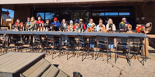 December Cavalier Meet-Up