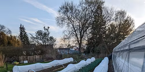 Beyond Season Extension: Low Cost Low Tunnels for the Win