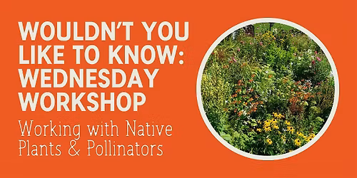 Wouldn't You Like To Know Wednesday: Native Plants & Pollinators