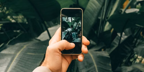 Phone Photography Workshop
