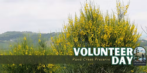 Volunteer Day: Invasive Plant Removal - Rana Creek Preserve
