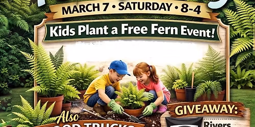 Fern Frenzy
