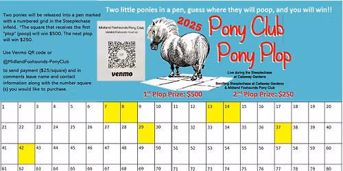 Pony Plop @ Steeplechase at Callaway