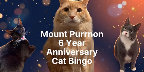 Sixth Anniversary Pawty: Bingo Edition