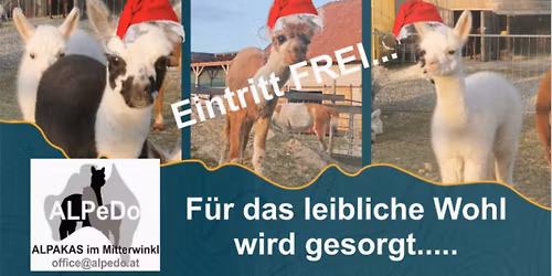 Leopoldimarkt am Alpakahof
