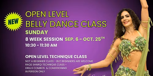 Sunday 10:30 - 11:30 am Open Level Belly Dance Technique Class at Studio Z 