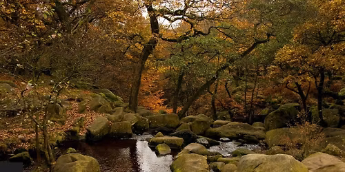 Longshaw Social Run and Cake \ud83c\udf70