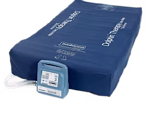 Dolphin Mattress Training