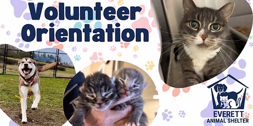 Everett Animal Shelter Volunteer Orientation