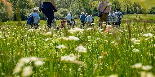 Ranger's Ramble across Mapperton Wildlands - A Guided Safari