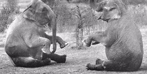 The Pneuma Gnostic Intensive