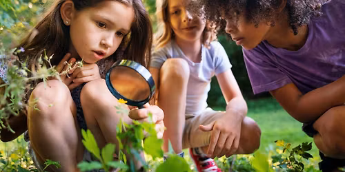 Nene Wetlands Forest School for Home Ed - 13th November 2025