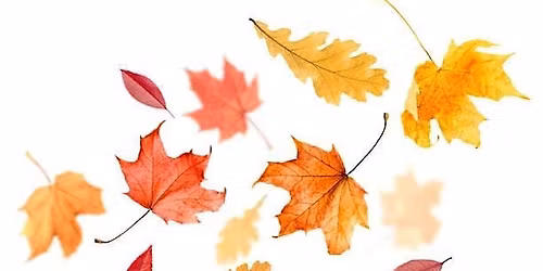 Tree Time: Fall Leaves I