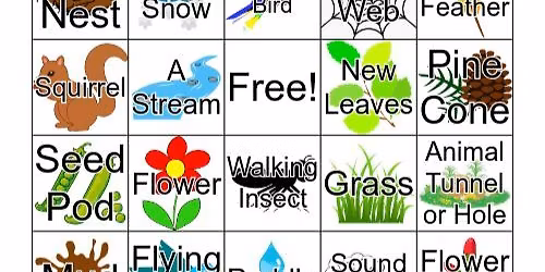 Signs of Spring Scavenger Hunt