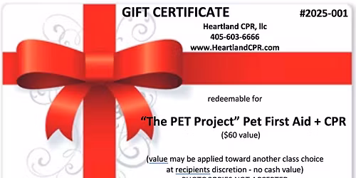 Small Business Saturday sale