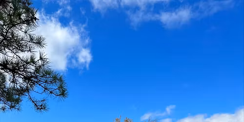 Deck the Paws Manners Class
