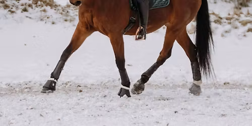 Dressyrtr\u00e4ning f\u00f6r Heidi V\u00e4nttinen  