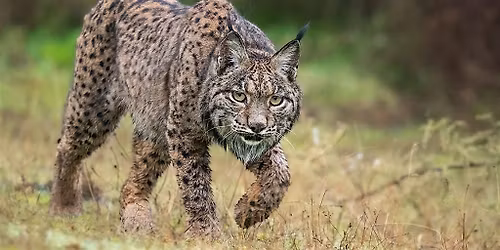 Para\u00edsos, de los m\u00e1s lejanos a los m\u00e1s cercanos