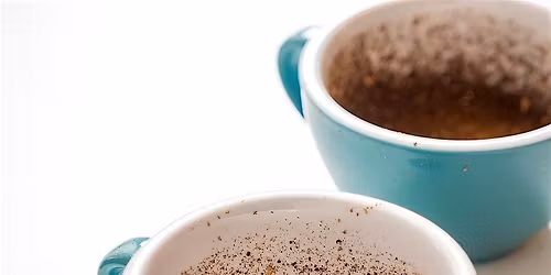 Coffee Cupping with Sophomore Coffee Roasters