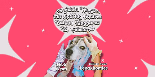 No M\u00f6kki No Problem - The Spiffing Squires, Balkan Maggarrac, The Golden Nuggets and Fabulastik