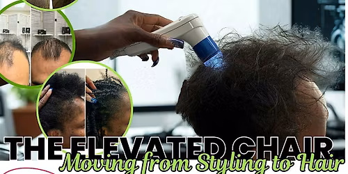 The Elevated Chair: Moving from Styling to Hair Wellness
