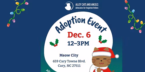 Adoption Event at Meow City