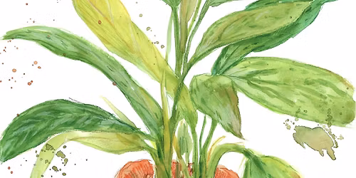 Capturing Plant Life in Watercolour