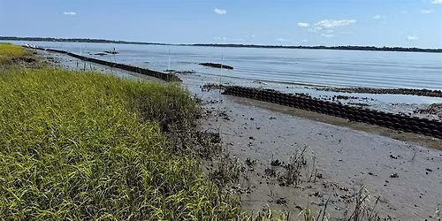 Weapons Pond Living Shoreline Install