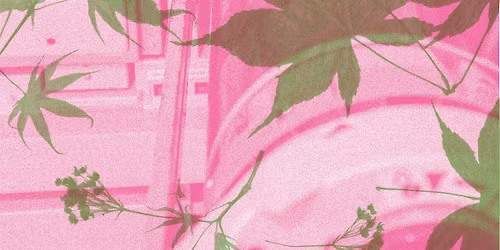 Fugitive Impressions with Matiz Press