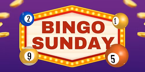 Christmas Fancy Dress Bingo & Crack the Safe!