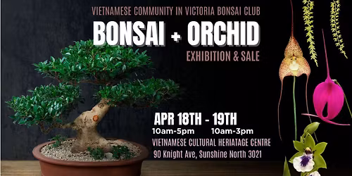 Autumn Bonsai + Orchid Exhibition & Sale