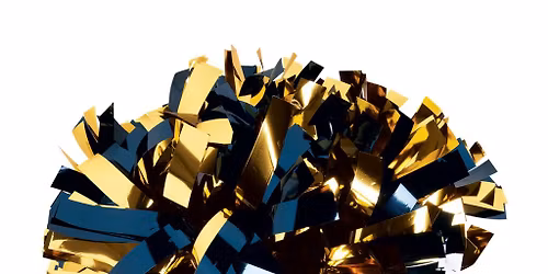 2026 ACC Gymnastics Championship - Session 2 (Time: TBD)