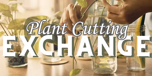 Plant Cutting Exchange | The Annex