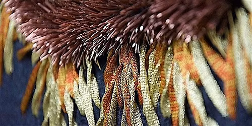 Goldwork Embroidery Workshop with Elnaz Yazdani