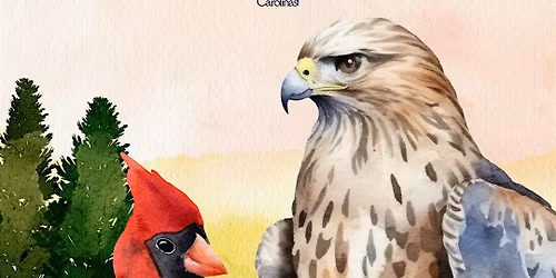 Comfortable Shirt: Live from Shep's in Mint Hill!