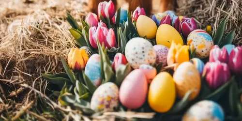 2026 ICFF Bunny Hop Open Horse Show