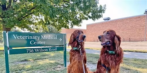 Mid-Michigan Spartans Behind the Scenes at MSU Veterinary Medical Center