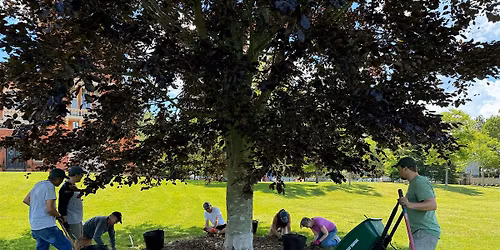 Tree Corps: Aquidneck Park