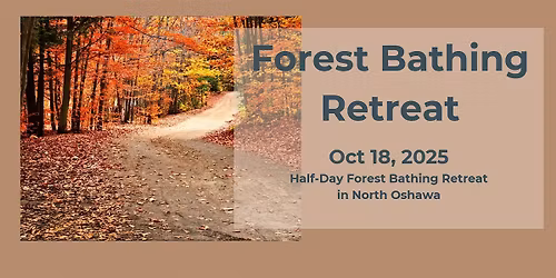 Half Day Forest Bathing Retreat