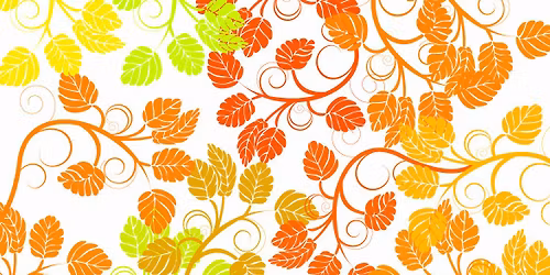 November DSPHC Social + Meeting