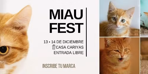 Miau Fest Gdl 2025