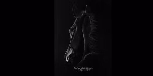 Midwest Horse Fair 2026