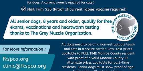 Wellness Clinic at Baby's Coffee!