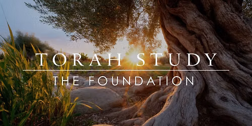 New-to-Torah Study