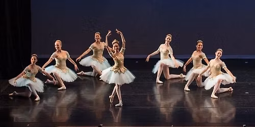 Arts Ballet Theatre of Florida: Spring Gala