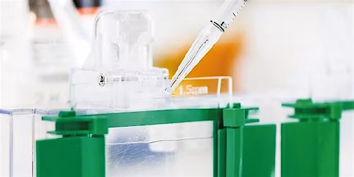 Innovative Proteintech Products