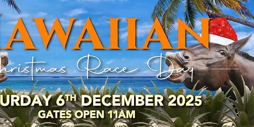Hawaiian Xmas Race Day